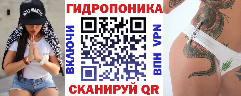 Каннабис OG Kush  где купить   Канск 